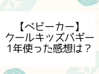 クールキッズバギー感想は